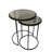 Alga Glass Top Nesting Tables