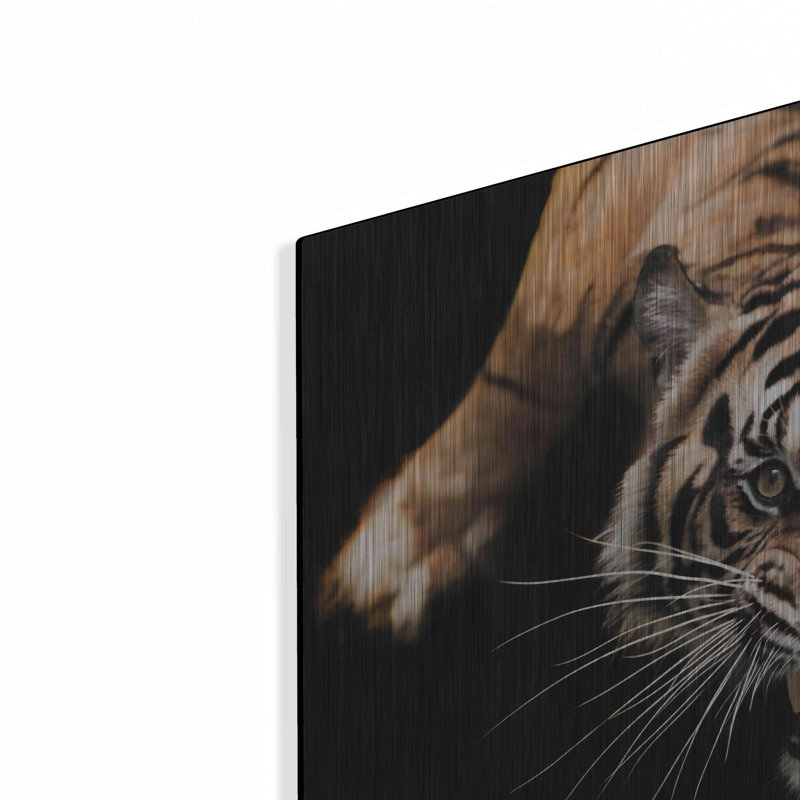 Luxe Metal Art «Nice Kitty» par Epic Portfolio Meta «Nice Kitty» par Luxe Metal Portfolio, H 12 po x l 16 po