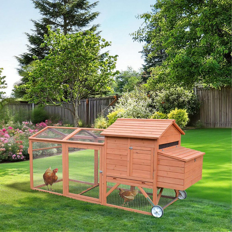Cage à poules en bois avec poulailler et cage de nidification, Natural