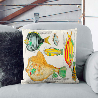 East Indies Fish Illustrations VI by Louis Renard Cushion with Filling