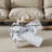 Lexghi Glass Top Single Coffee Table-1957090529