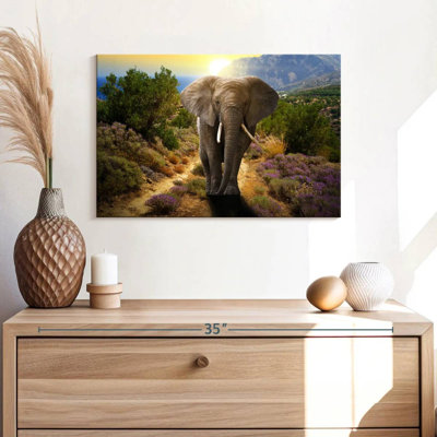 Elephant Frolicking