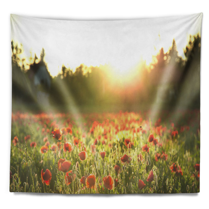 Paysage avec coquelicot sous un soleil éclatant, H 32 po x l 39 po