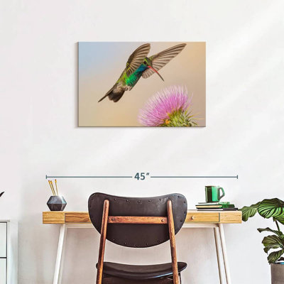 Hummingbird And Thistle Flower