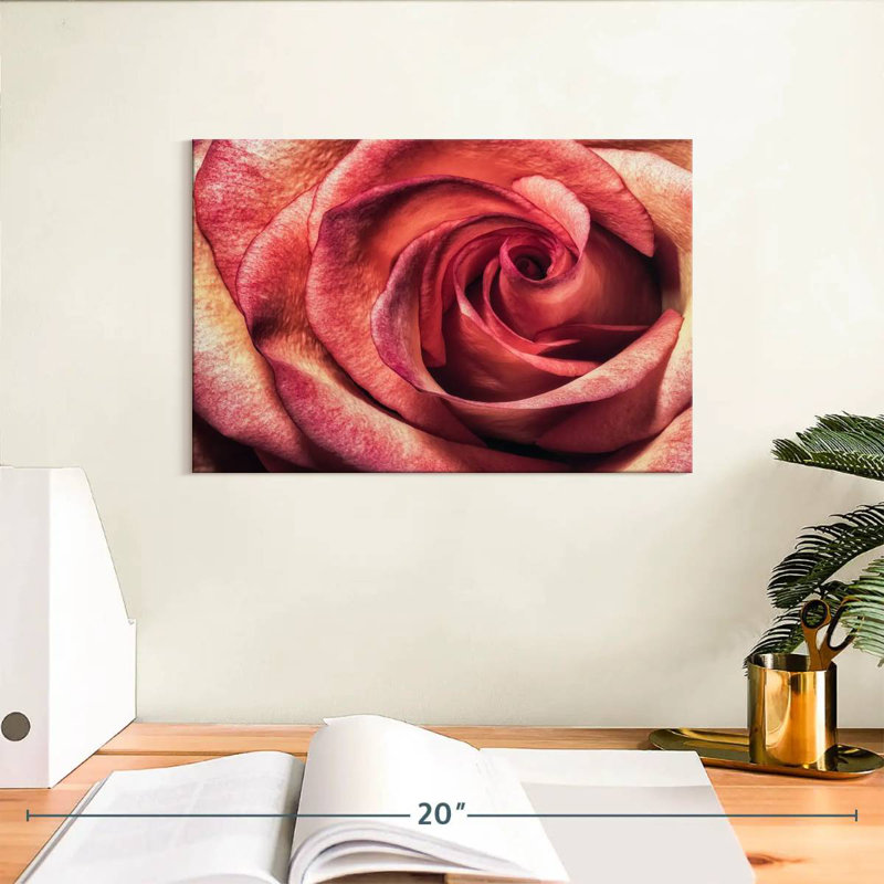 Rose magnifique Harnek, H 8 po x l 12 po