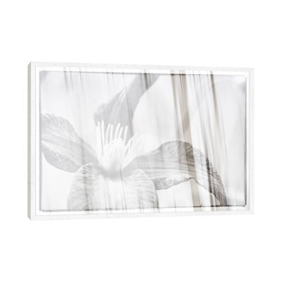 Black And White Clematis by Savanah Plank - Gallery-Wrapped Canvas Giclée on Canvas