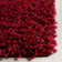 Baldev Red Area Rug