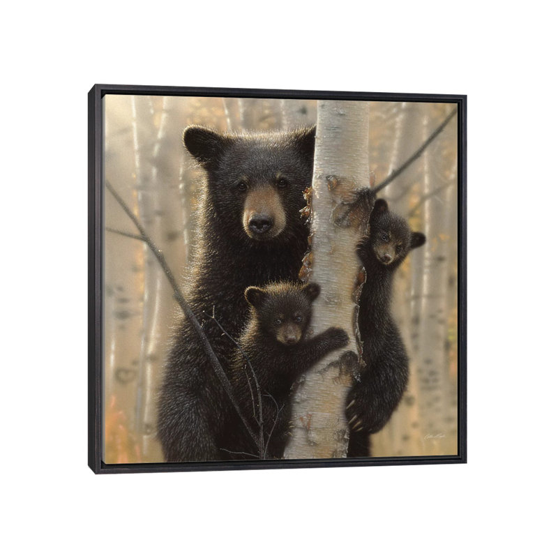«Mama Black Bear» par Collin Bogle Print, H 37 po x l 37 po x P 1,5 po, Toile avec cadre noir patiné