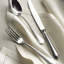 Filet Toiras Stainless Steel Serving Spoon