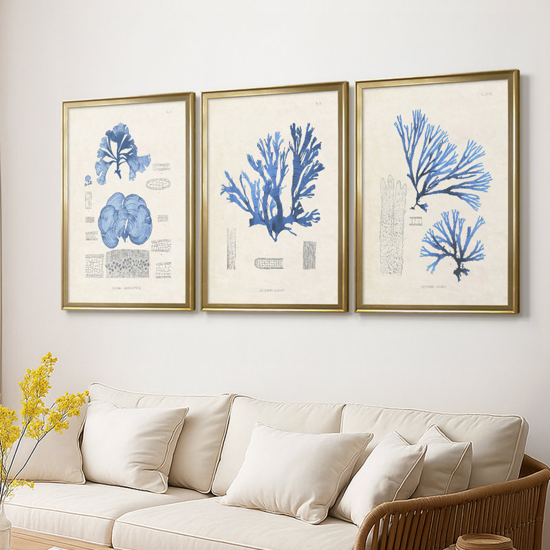 Blue Marine Algae IV - Toile tendue avec châssis sur mesure - 3 pièces, H 21 po x l 30 po, Doré