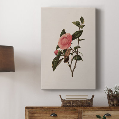 Imprimé floral rétro CLXII - galerie Cavas