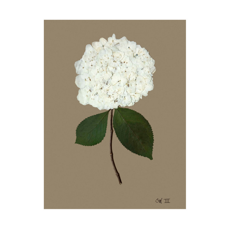 Pressed Hydrangea Set by Sandy Whitaker, 35" H x 26.5" W, Antique Gold
