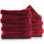 Burgundy Red