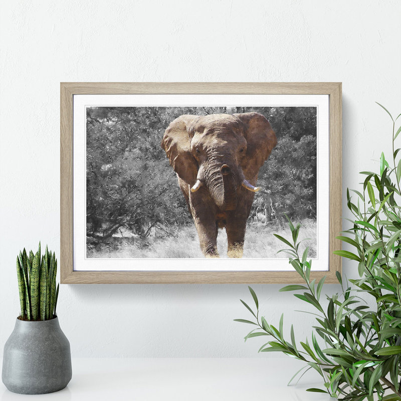 Elephant Vol.1 - Picture Frame Graphic Art, 36cm H x 48cm W x 2cm D, Oak Framed
