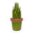Landscape & Nature Figurines & Sculptures