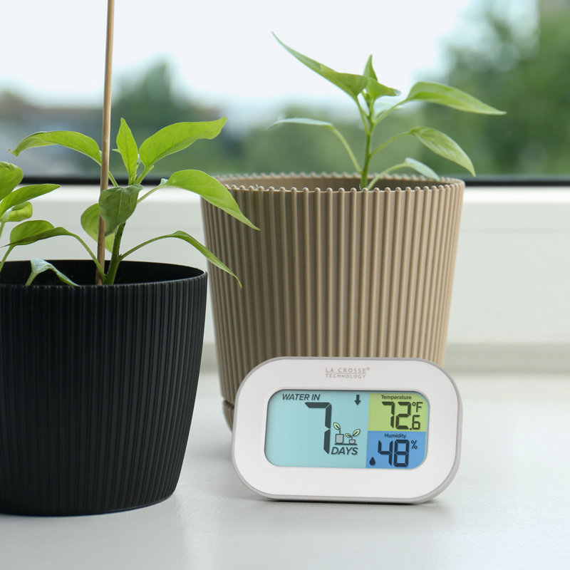 Minuterie d'arrosage numérique avec température et humidité