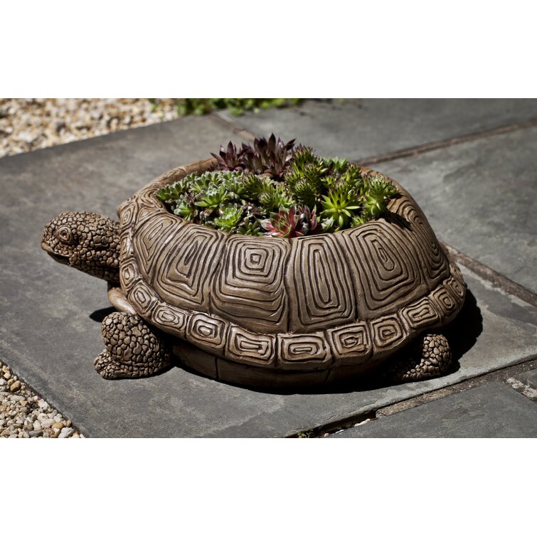 Campania International, Inc Pot de fleurs statue de tortue et Commentaires  - Wayfair Canada