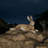 Miraflores Rabbit Animals Resin Garden Statue