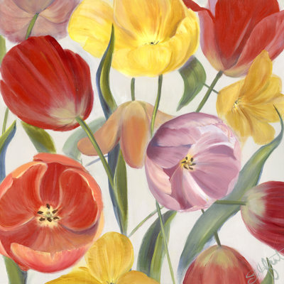 Sandy Spring Mix I