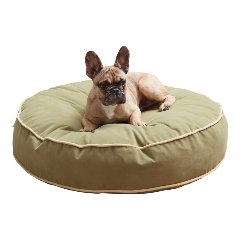 Lit pour chien Buckhead, Mousse, Moyen (l 30 po x P 30 po x H 5 po)