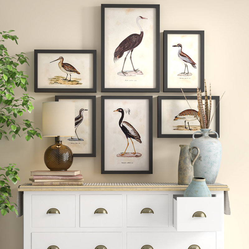 «Waterfowl Gallery», ensemble de 6 cadres photo