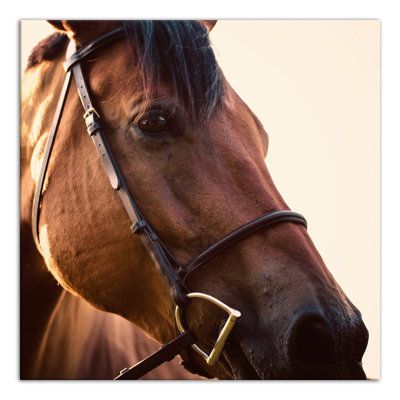 « cheval closes », reproduction de photo sur toile