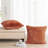 Shaggy Shaggy Euro Square Pillow Cover-1378051836