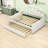 Searle Full Velvet Upholstered Daybed with Twin Trundle-234106917
