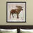 " Pine Forest Moose "-1212243059