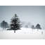 Valentines Day Snow Print by Tom Kostes-65852329-65826466