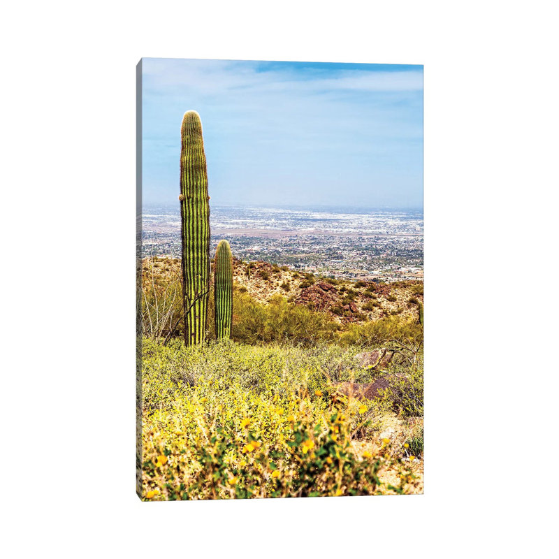 Phoenix Arizona Desert With Saguaro Cactus And Cityscape - Wrapped Canvas Gallery-Wrapped Canvas Giclée