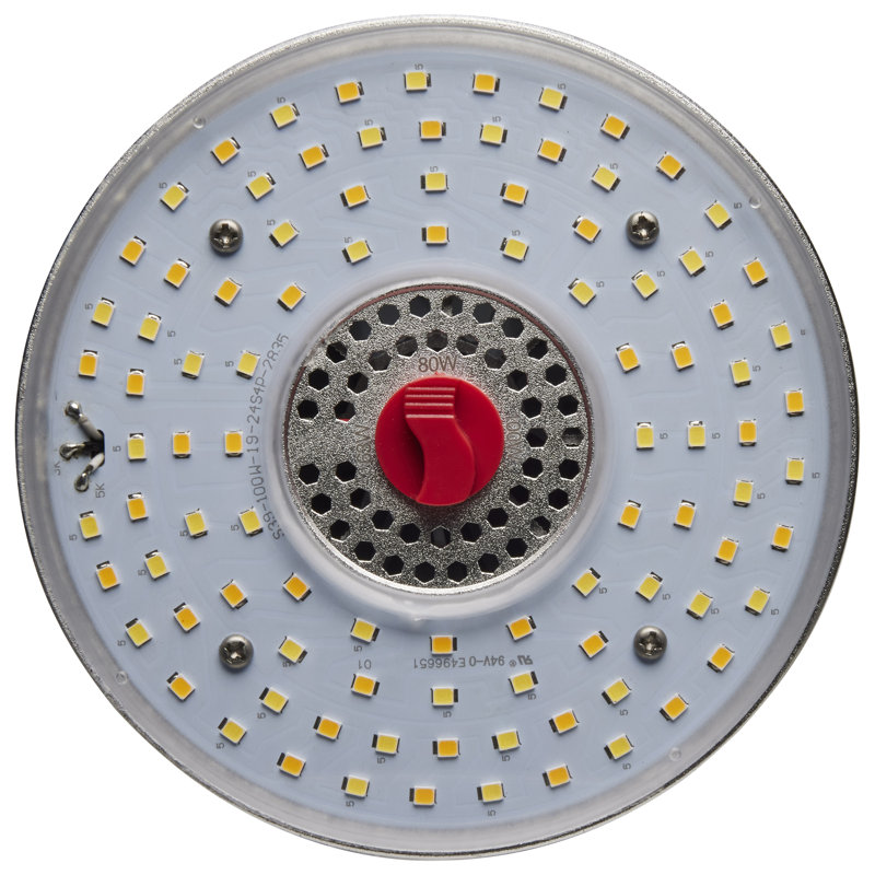 100 Wattage, LED Dimmable Light Bulb, Selectable CCT E39/Mogul Base, 100 W