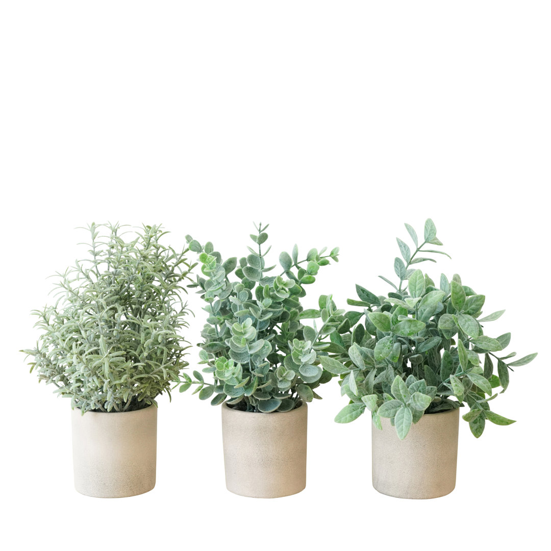 10'' Faux Assorted Succulents in Cement Pot (Set of 3) Primrue