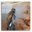  «Redtail Hawk» par Jim Brune, art mural en verre acrylique, 24 po x 24 po