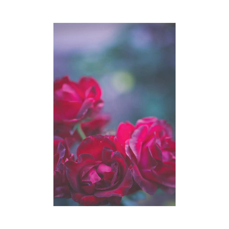 Roses Are Red by Ann Hudec - Wrapped Canvas Print, 101.6 cm H x 66.04 cm W x 1.91 cm D