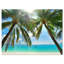 Palmier suspendu sur une plage de sable blanc - reproduction de photo sur toile tendue-590073792-603073661