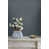 Gris anthracite
