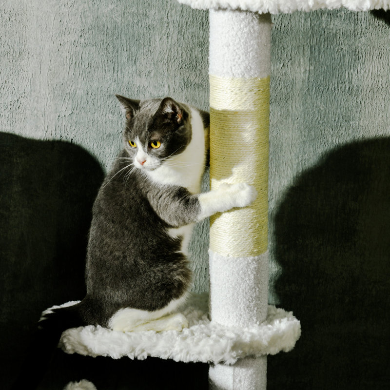 Arbre à chat avec poteaux à griffes Pawhut
