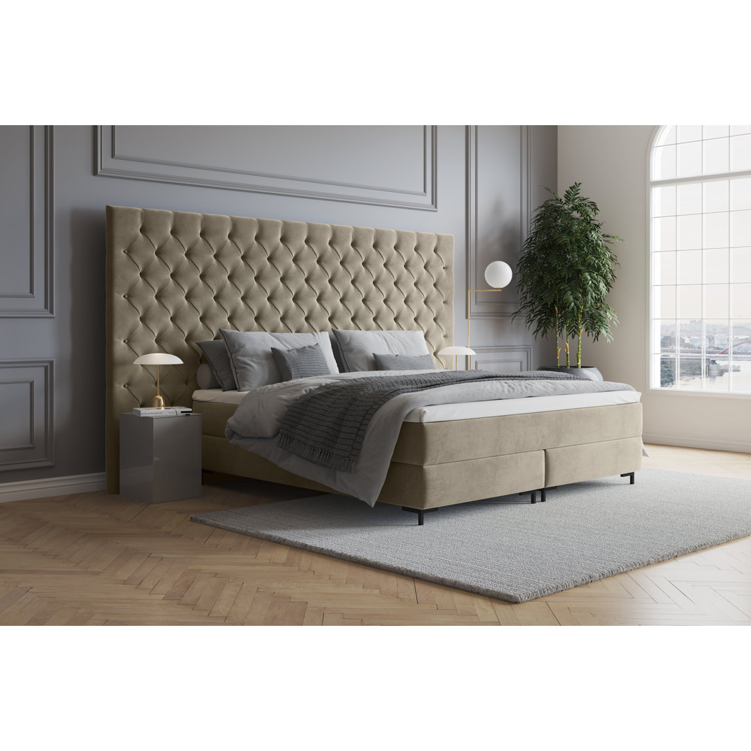 Echtes Boxspringbett Ajala mit Premium Visco Topper, mit Samtstoff bezogen