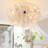 Caidenn 20'' Farmhouse Boho Caged Ceiling Fan with Light and Remote Control Included