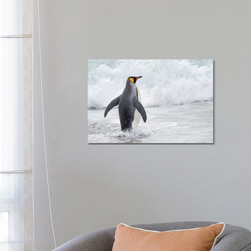 King Penguin Rookery On Salisbury Plain In The Bay Of Isles. South Georgia Island by Martin Zwick - Wrapped Canvas Print