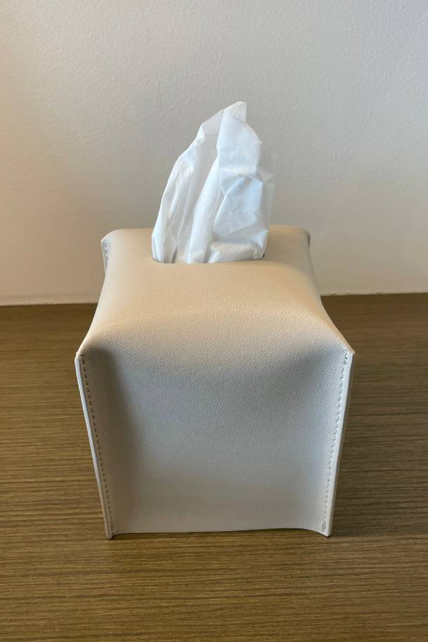 Dominique Tissue Box Cover – Sotre Collection