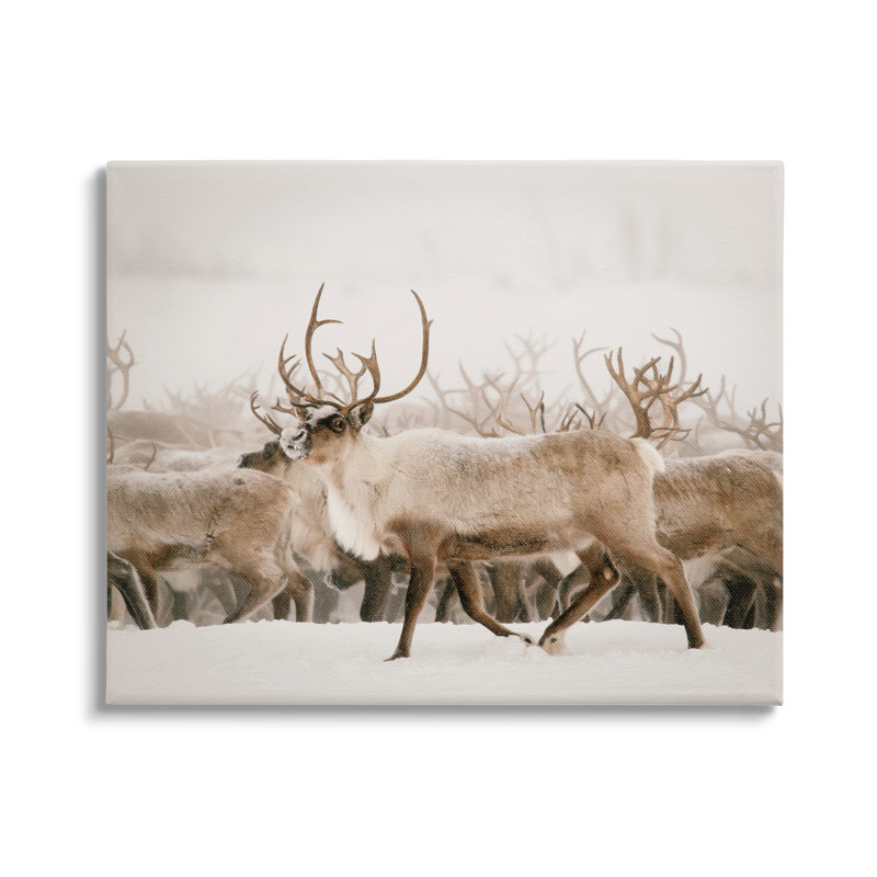 «Elk Herd Snowy Winter Scene» par Krista Broadway - photographie sur toile tendue, H 16 po x l 20 po x P 1,5 po