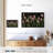 Harnek Spring Tulips-107668863