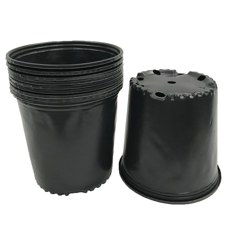 Ensemble de casseroles en plastique 12 pièces Kytalin, H 8,13 po x l 9,5 po x P 9,5 po