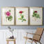 «Pretty Pink Botanicals I», reproduction encadrée de qualité supérieure - prête à être accrochée-69982747-69982746