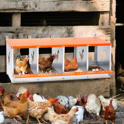 Boîte de nidification murale à 4 compartiments en acier galvanisé orange pour et canards, avec coussin en fibre de noix de coco naturelle, ventilation, installation facile, nettoyage facile