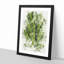 Leaf Pathways - Framed Print-56741578-56741579