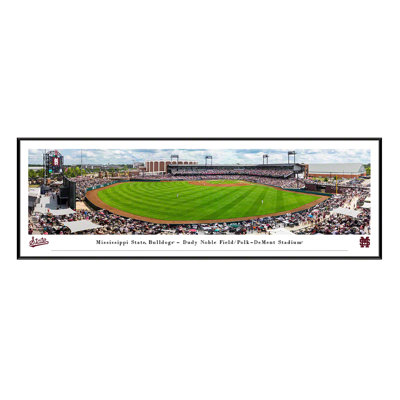 " Mississippi State Bulldogs " by James Blakeway