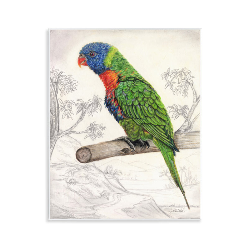"Lorikeet", "Nature", art mural par Connie Resch